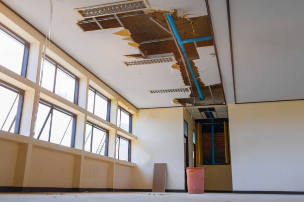 Best 24/7 water damage repair  in Union Point, GA