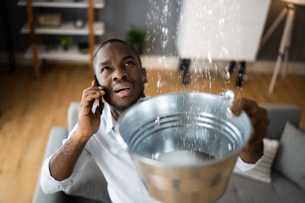 Best Flood damage cleanup  in Union Point, GA