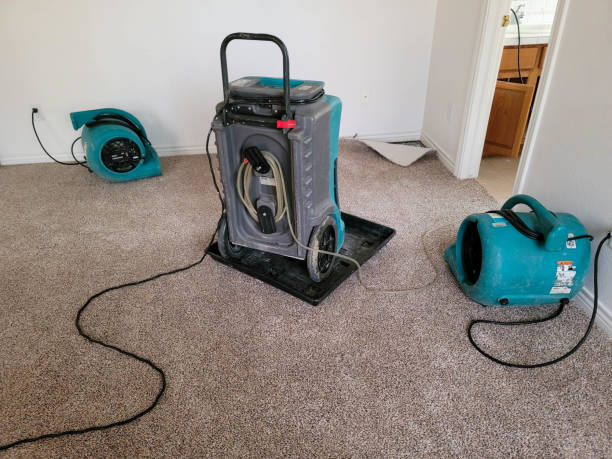 Water damage restoration mold remediation in Union Point, GA