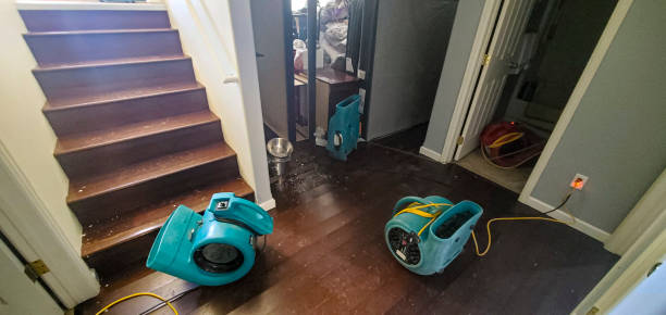 Best Fire Damage Restoration  in Union Point, GA