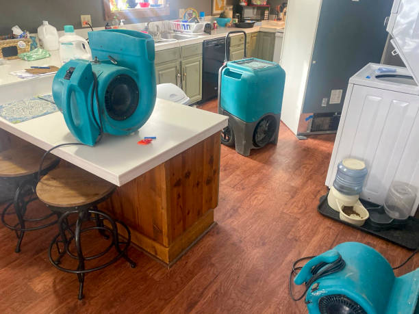 Trusted Union Point, GA Water damage restoration Experts