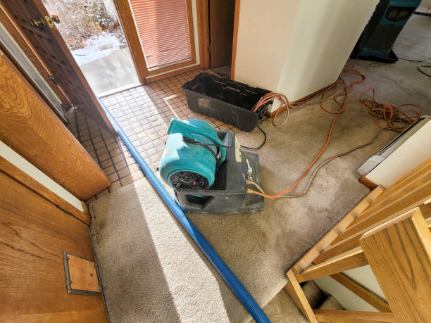 Best Water damage restoration near me  in Union Point, GA