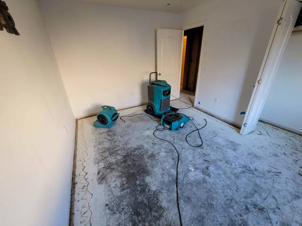 Best Basement water damage restoration  in Union Point, GA