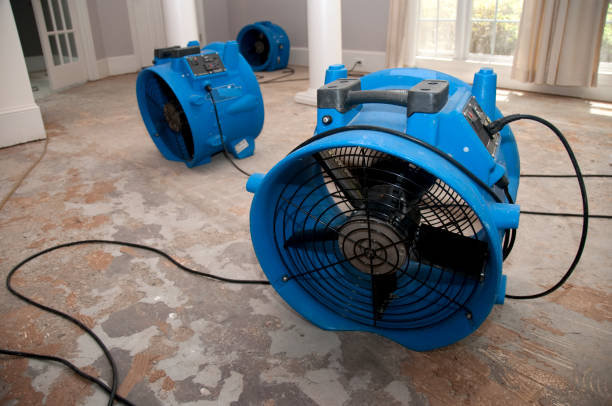 Best Water damage restoration near me  in Union Point, GA