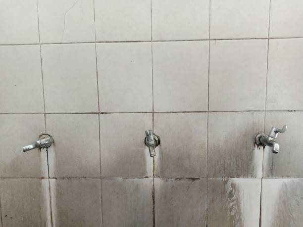 Best Water damage repair service  in Union Point, GA