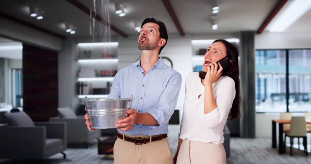 Best Mold removal after water damage  in Union Point, GA